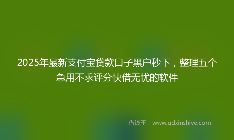 2025年最新支付宝贷款口子黑户秒下，整理五个急用不求评分快借无忧的软件