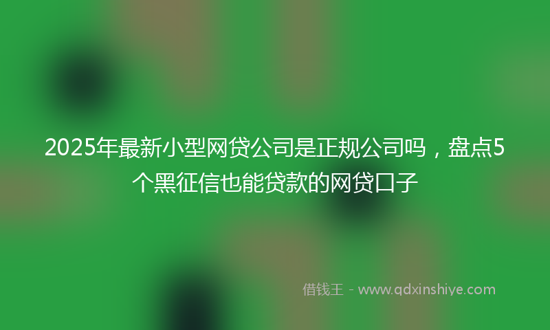 2025年最新小型网贷公司是正规公司吗，盘点5个黑征信也能贷款的网贷口子