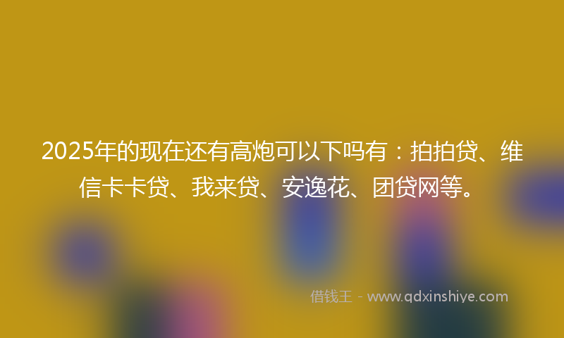 2025年的现在还有高炮可以下吗有：拍拍贷、维信卡卡贷、我来贷、安逸花、团贷网等。
