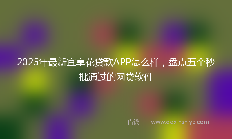 2025年最新宜享花贷款APP怎么样，盘点五个秒批通过的网贷软件