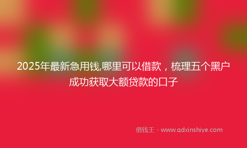 2025年最新急用钱,哪里可以借款，梳理五个黑户成功获取大额贷款的口子