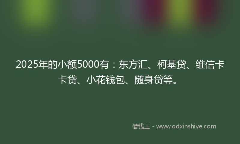 2025年的小额5000有：东方汇、柯基贷、维信卡卡贷、小花钱包、随身贷等。