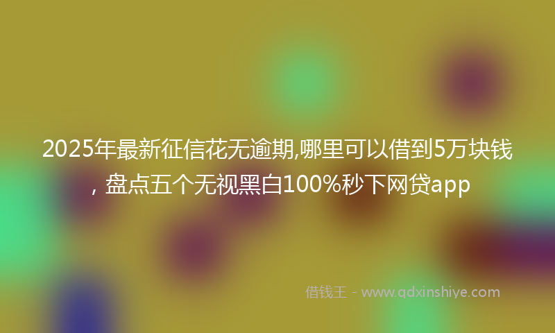 2025年最新征信花无逾期,哪里可以借到5万块钱，盘点五个无视黑白100%秒下网贷app