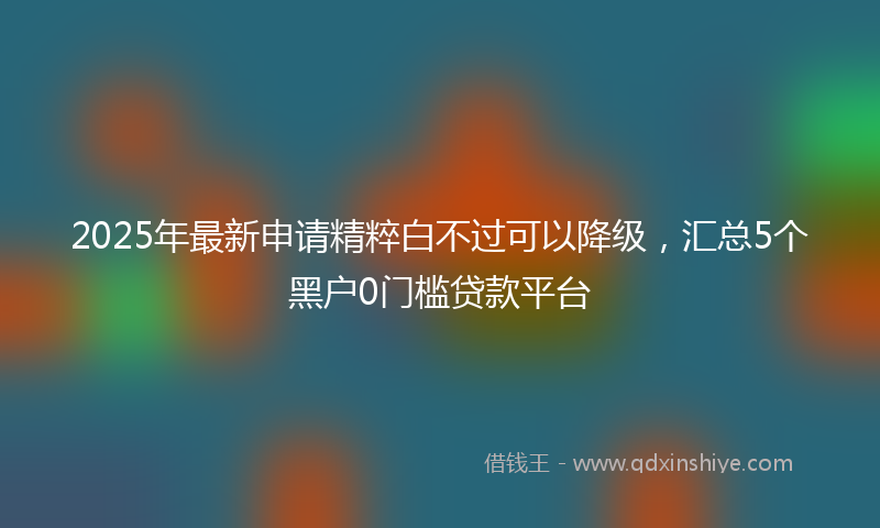 2025年最新申请精粹白不过可以降级，汇总5个黑户0门槛贷款平台