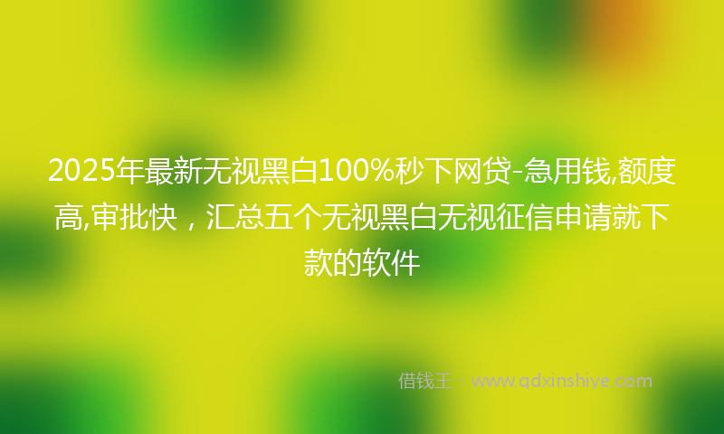 2025年最新无视黑白100%秒下网贷-急用钱,额度高,审批快，汇总五个无视黑白无视征信申请就下款的软件