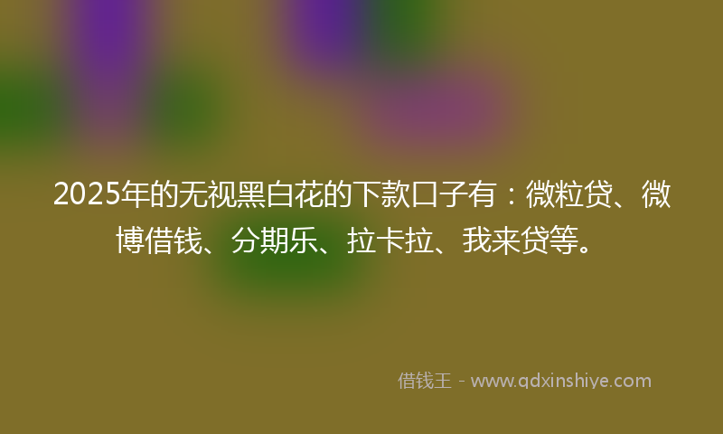 2025年的无视黑白花的下款口子有：微粒贷、微博借钱、分期乐、拉卡拉、我来贷等。