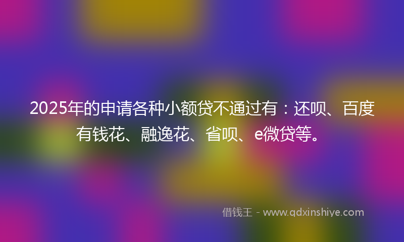 2025年的申请各种小额贷不通过有：还呗、百度有钱花、融逸花、省呗、e微贷等。
