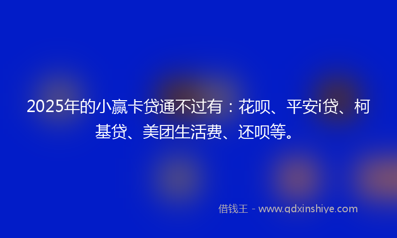 2025年的小赢卡贷通不过有：花呗、平安i贷、柯基贷、美团生活费、还呗等。