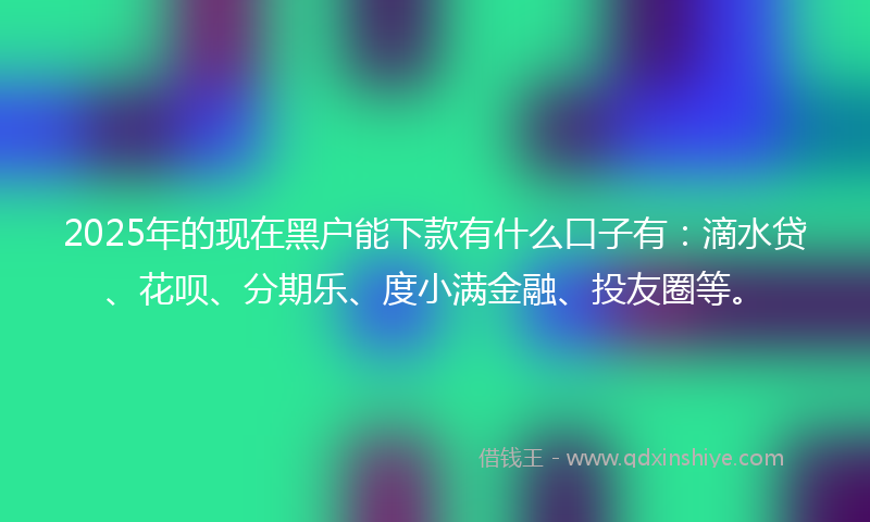 2025年的现在黑户能下款有什么口子有：滴水贷、花呗、分期乐、度小满金融、投友圈等。