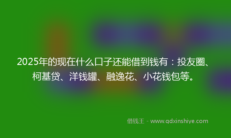 2025年的现在什么口子还能借到钱有：投友圈、柯基贷、洋钱罐、融逸花、小花钱包等。