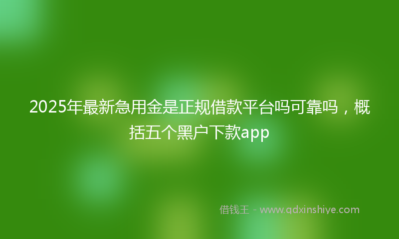 2025年最新急用金是正规借款平台吗可靠吗，概括五个黑户下款app
