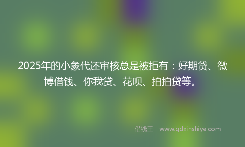 2025年的小象代还审核总是被拒有：好期贷、微博借钱、你我贷、花呗、拍拍贷等。