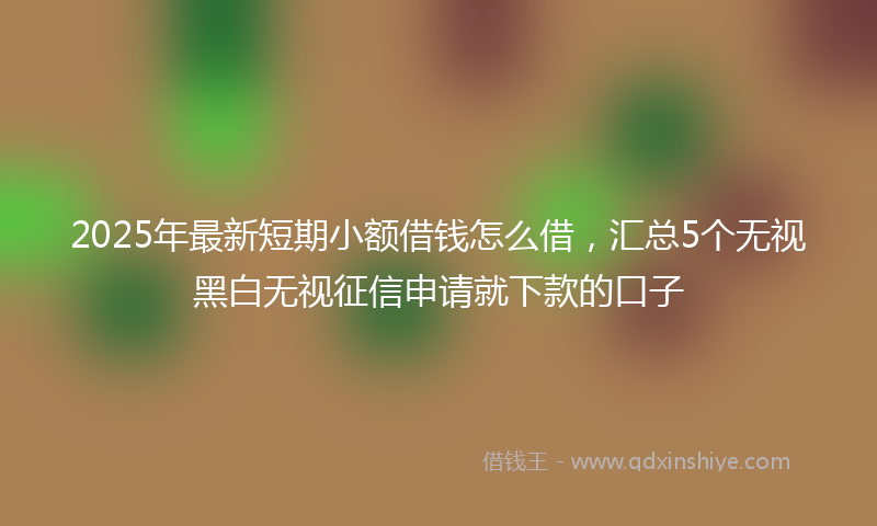 2025年最新短期小额借钱怎么借，汇总5个无视黑白无视征信申请就下款的口子
