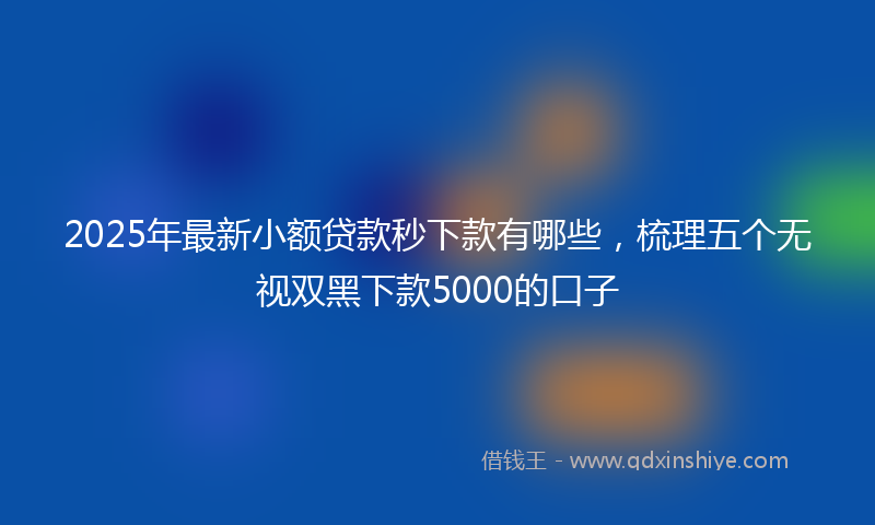 2025年最新小额贷款秒下款有哪些，梳理五个无视双黑下款5000的口子