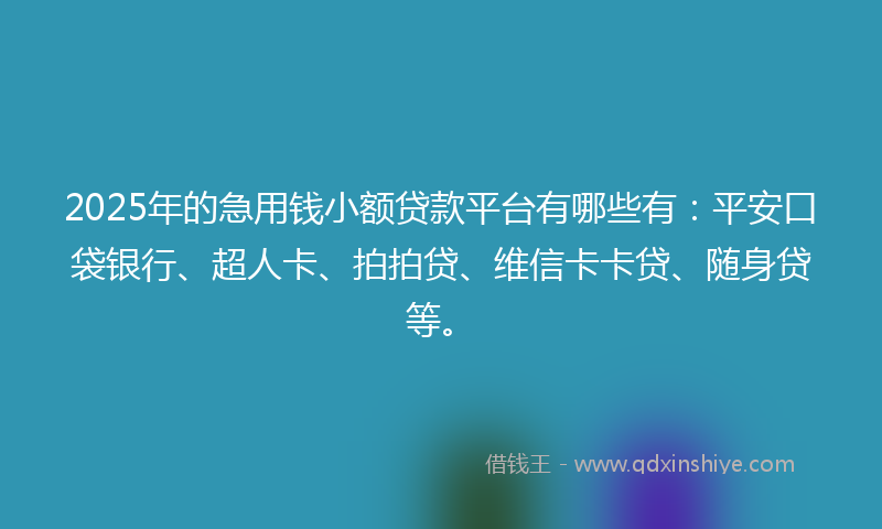 2025年的急用钱小额贷款平台有哪些有：平安口袋银行、超人卡、拍拍贷、维信卡卡贷、随身贷等。