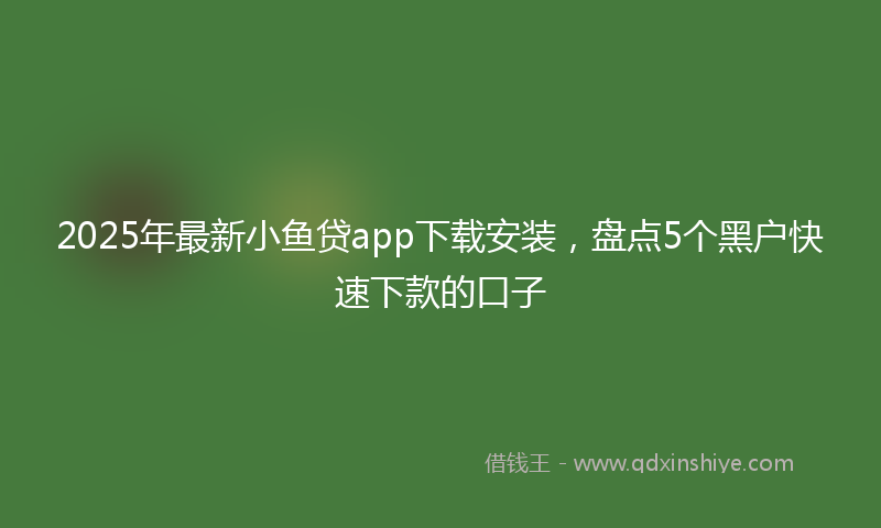 2025年最新小鱼贷app下载安装，盘点5个黑户快速下款的口子