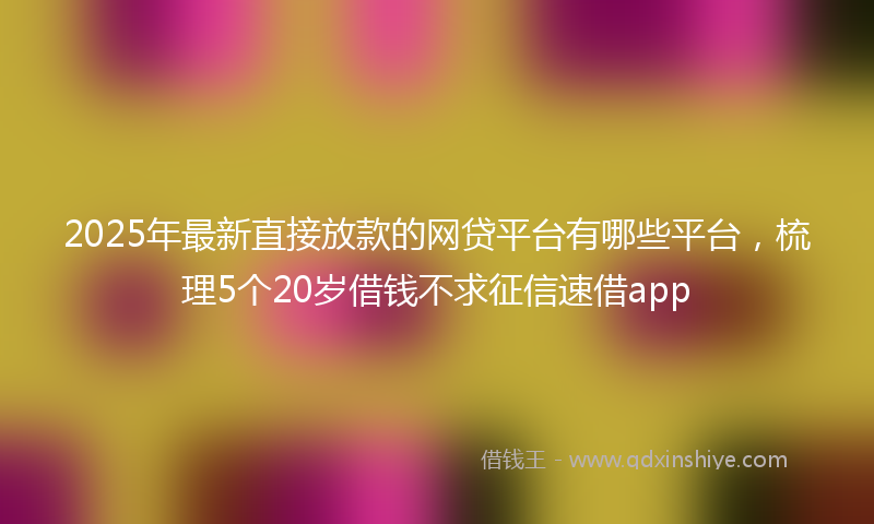 2025年最新直接放款的网贷平台有哪些平台，梳理5个20岁借钱不求征信速借app