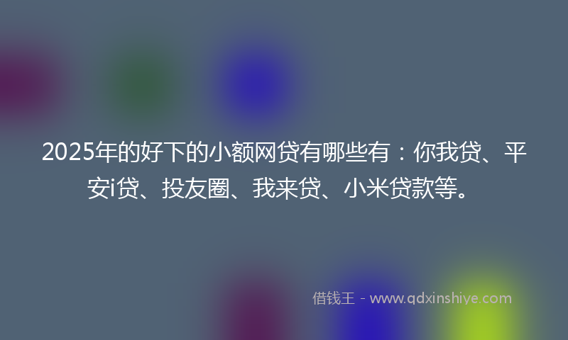 2025年的好下的小额网贷有哪些有：你我贷、平安i贷、投友圈、我来贷、小米贷款等。
