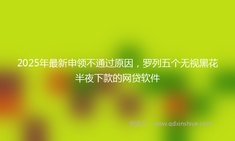 2025年最新申领不通过原因，罗列五个无视黑花半夜下款的网贷软件