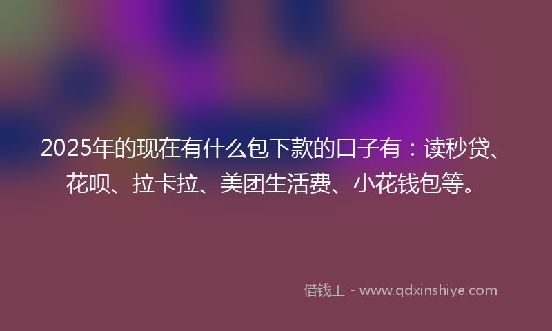 2025年的现在有什么包下款的口子有：读秒贷、花呗、拉卡拉、美团生活费、小花钱包等。