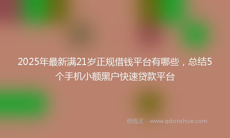 2025年最新满21岁正规借钱平台有哪些，总结5个手机小额黑户快速贷款平台