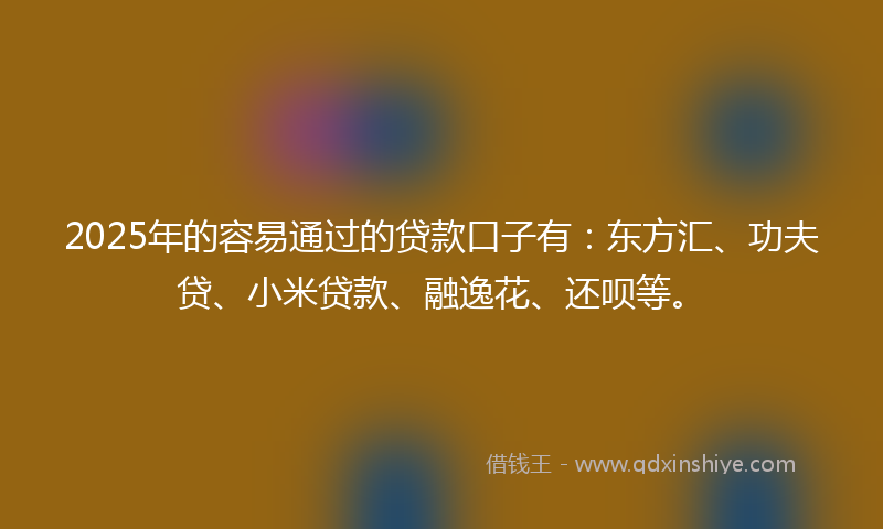 2025年的容易通过的贷款口子有：东方汇、功夫贷、小米贷款、融逸花、还呗等。