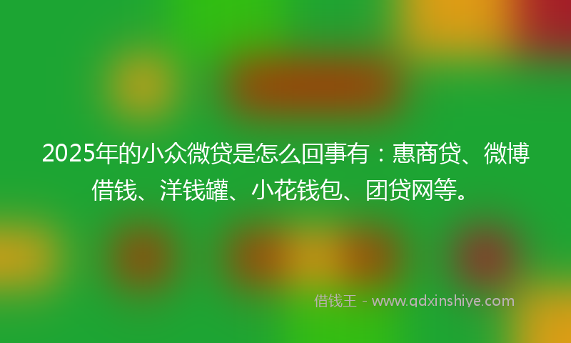 2025年的小众微贷是怎么回事有：惠商贷、微博借钱、洋钱罐、小花钱包、团贷网等。