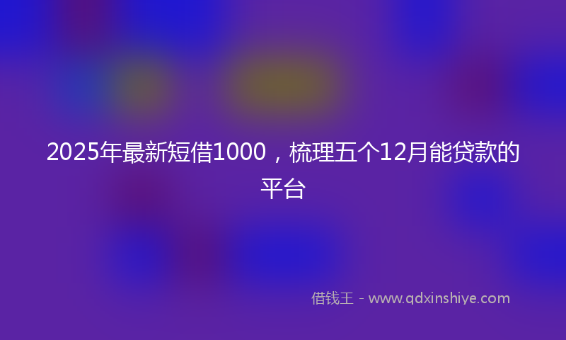 2025年最新短借1000，梳理五个12月能贷款的平台