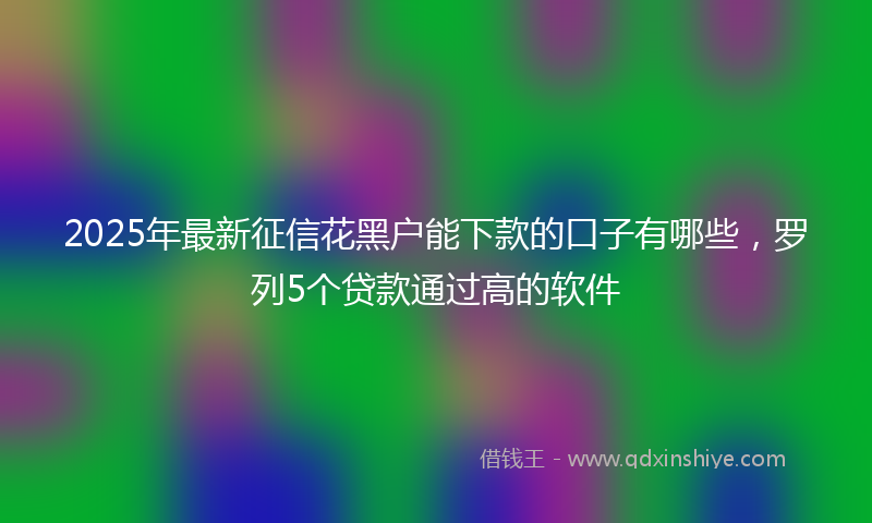 2025年最新征信花黑户能下款的口子有哪些，罗列5个贷款通过高的软件