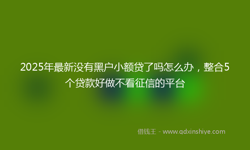 2025年最新没有黑户小额贷了吗怎么办，整合5个贷款好做不看征信的平台
