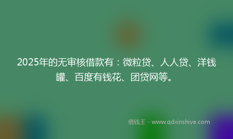 2025年的无审核借款有：微粒贷、人人贷、洋钱罐、百度有钱花、团贷网等。