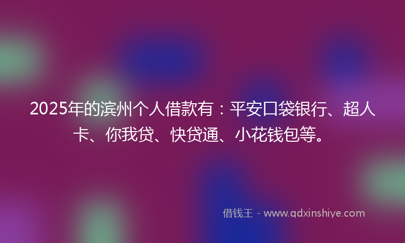 2025年的滨州个人借款有：平安口袋银行、超人卡、你我贷、快贷通、小花钱包等。
