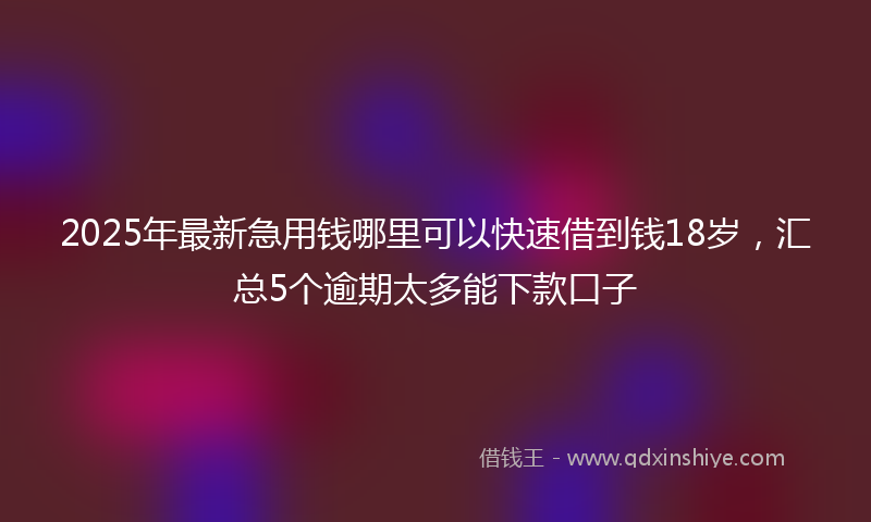 2025年最新急用钱哪里可以快速借到钱18岁，汇总5个逾期太多能下款口子