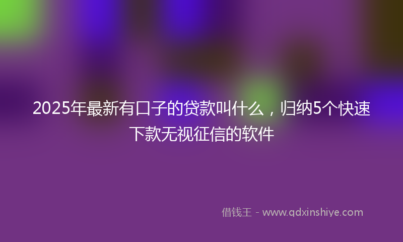 2025年最新有口子的贷款叫什么，归纳5个快速下款无视征信的软件