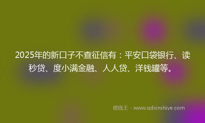 2025年的新口子不查征信有：平安口袋银行、读秒贷、度小满金融、人人贷、洋钱罐等。