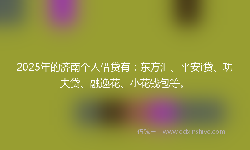 2025年的济南个人借贷有：东方汇、平安i贷、功夫贷、融逸花、小花钱包等。