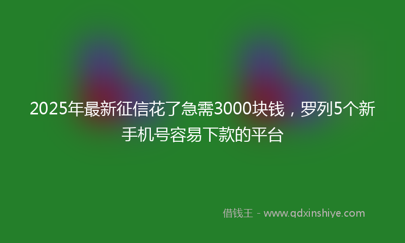2025年最新征信花了急需3000块钱，罗列5个新手机号容易下款的平台