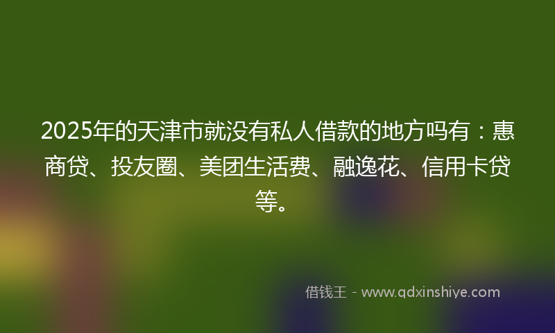 2025年的天津市就没有私人借款的地方吗有：惠商贷、投友圈、美团生活费、融逸花、信用卡贷等。
