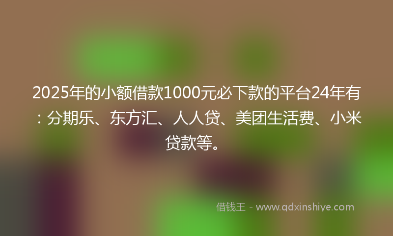 2025年的小额借款1000元必下款的平台24年有：分期乐、东方汇、人人贷、美团生活费、小米贷款等。