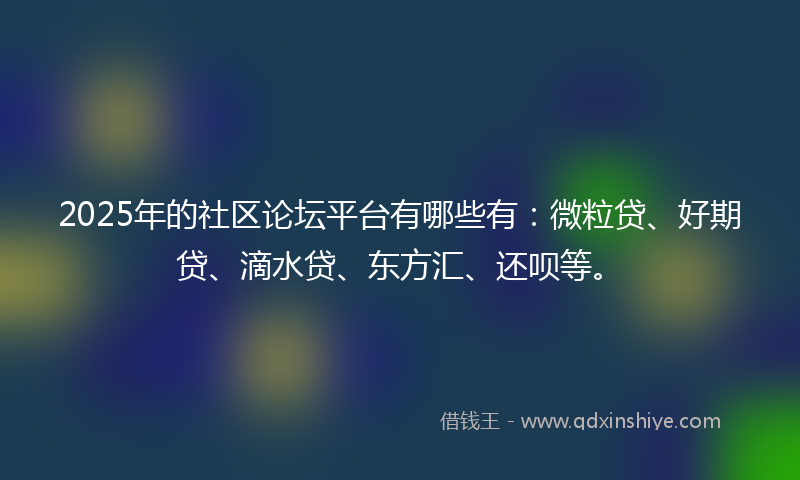 2025年的社区论坛平台有哪些有：微粒贷、好期贷、滴水贷、东方汇、还呗等。