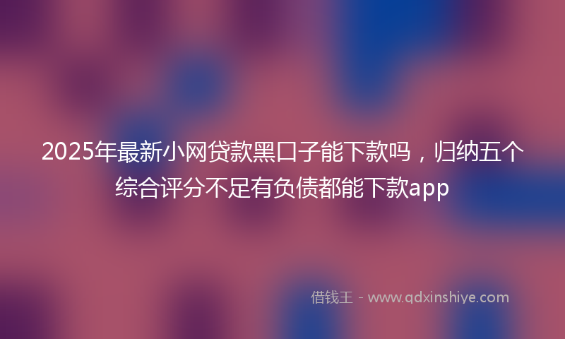 2025年最新小网贷款黑口子能下款吗，归纳五个综合评分不足有负债都能下款app