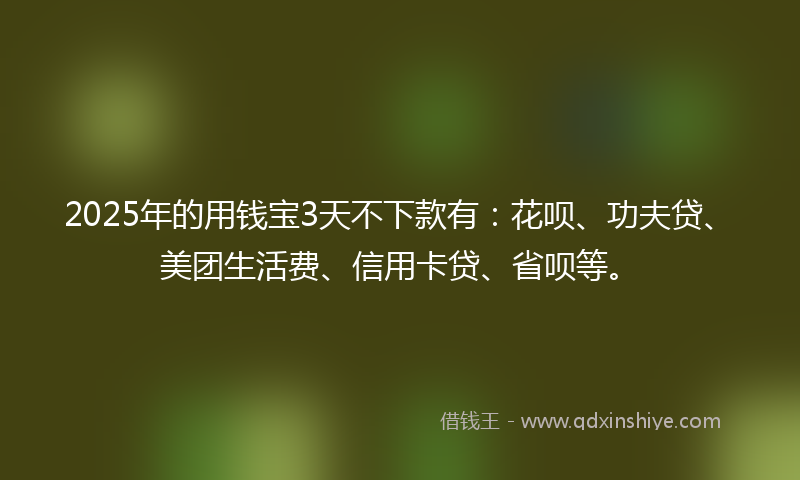2025年的用钱宝3天不下款有：花呗、功夫贷、美团生活费、信用卡贷、省呗等。