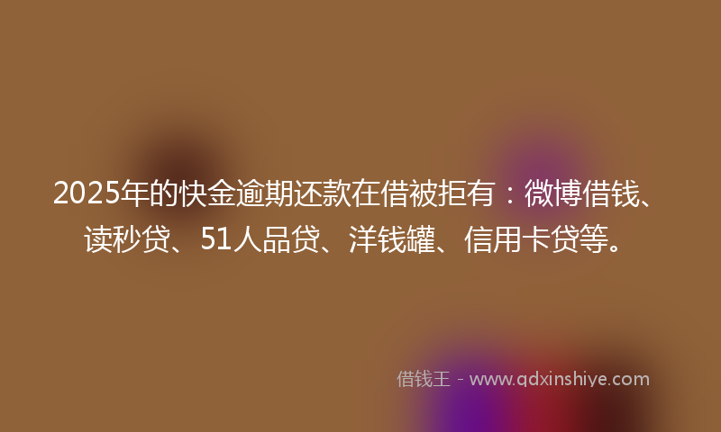 2025年的快金逾期还款在借被拒有：微博借钱、读秒贷、51人品贷、洋钱罐、信用卡贷等。