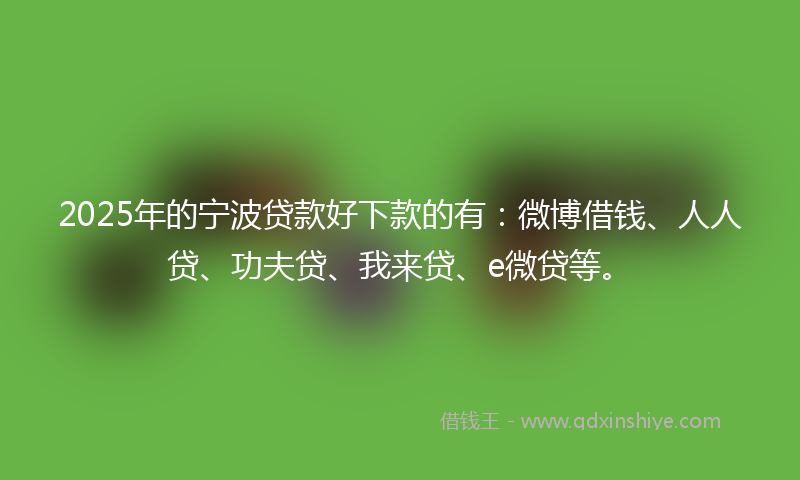 2025年的宁波贷款好下款的有：微博借钱、人人贷、功夫贷、我来贷、e微贷等。