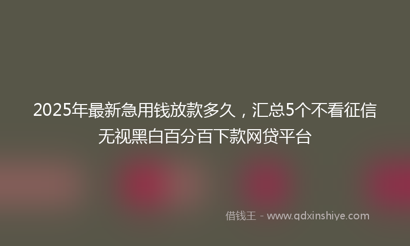2025年最新急用钱放款多久，汇总5个不看征信无视黑白百分百下款网贷平台