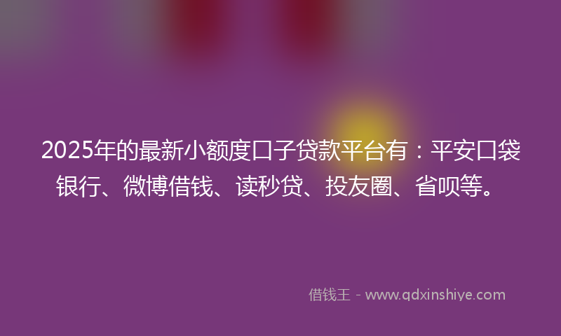 2025年的最新小额度口子贷款平台有：平安口袋银行、微博借钱、读秒贷、投友圈、省呗等。