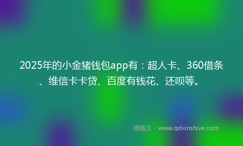 2025年的小金猪钱包app有：超人卡、360借条、维信卡卡贷、百度有钱花、还呗等。