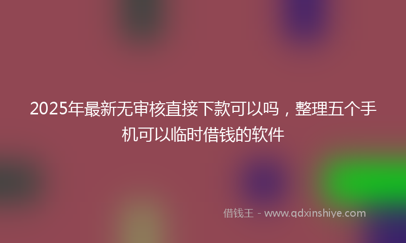 2025年最新无审核直接下款可以吗，整理五个手机可以临时借钱的软件