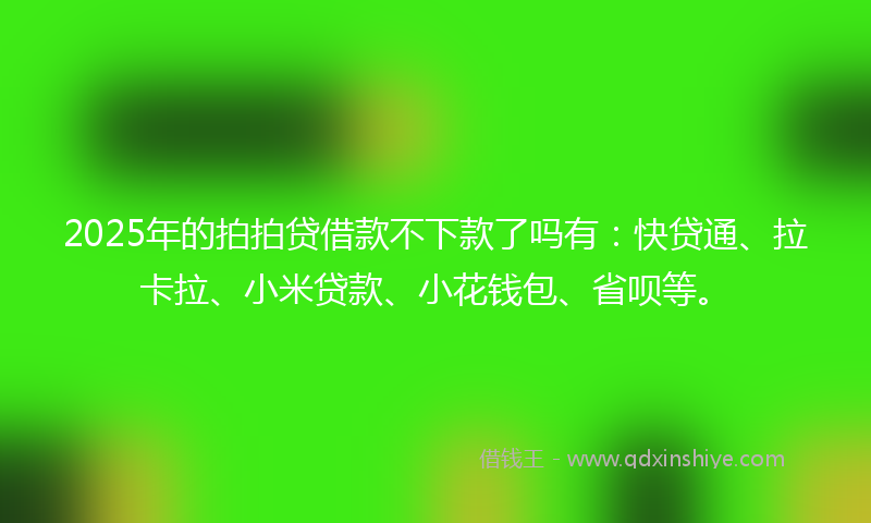 2025年的拍拍贷借款不下款了吗有：快贷通、拉卡拉、小米贷款、小花钱包、省呗等。