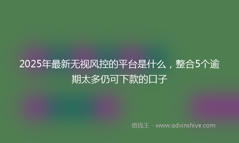 2025年最新无视风控的平台是什么，整合5个逾期太多仍可下款的口子